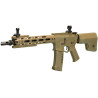 AMOEBA M4 CG 003 DARK EARTH