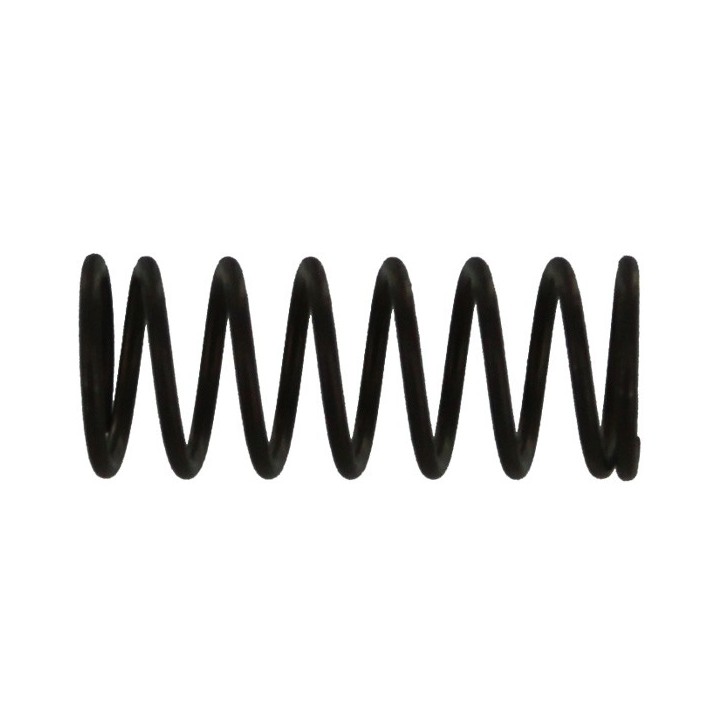 Locking Button Spring (S8)