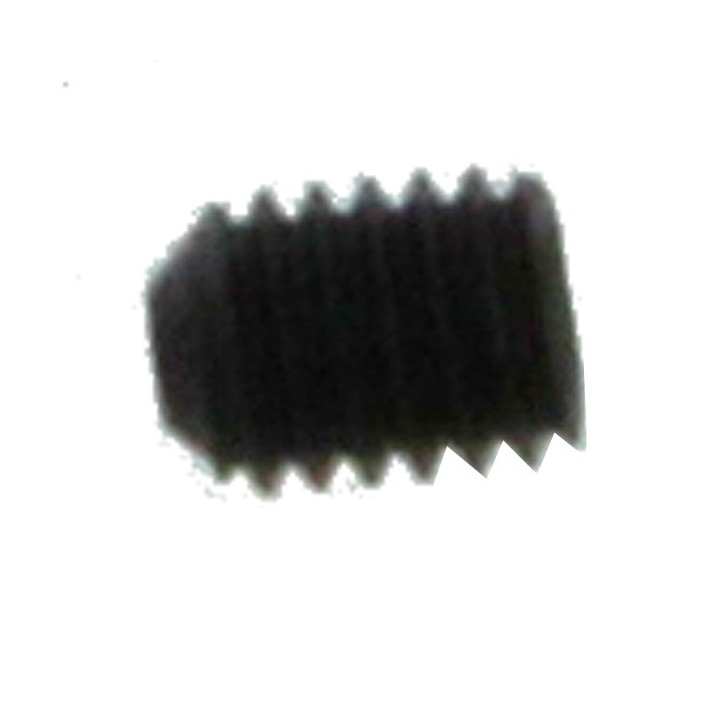 BOLT M3X4 DIN916 (BO13)
