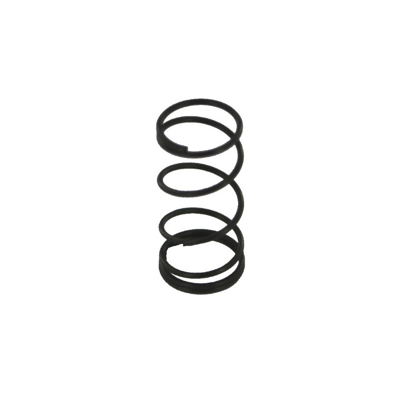 ASG-DAN WESSON - RESSORT INNER BAR