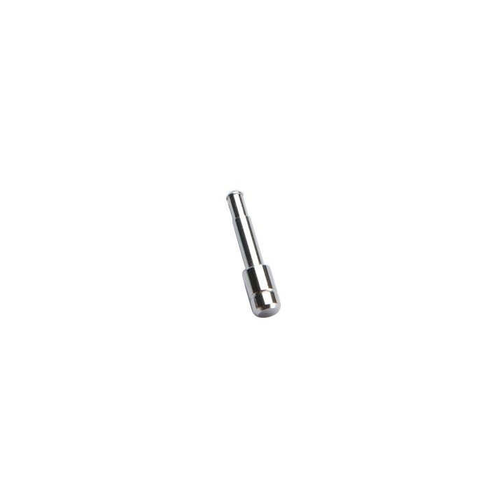 Fixing Axis for ASG CZ75 P07