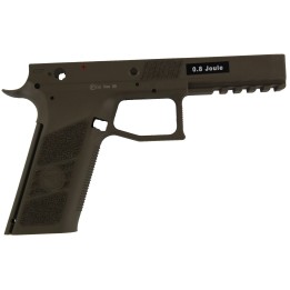 18182 ASG CZ P-09 Ref. 1 Frame