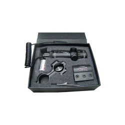 Combo red laser sight