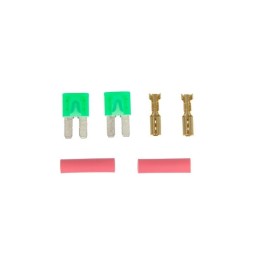 Set of 2 Mini Fuses