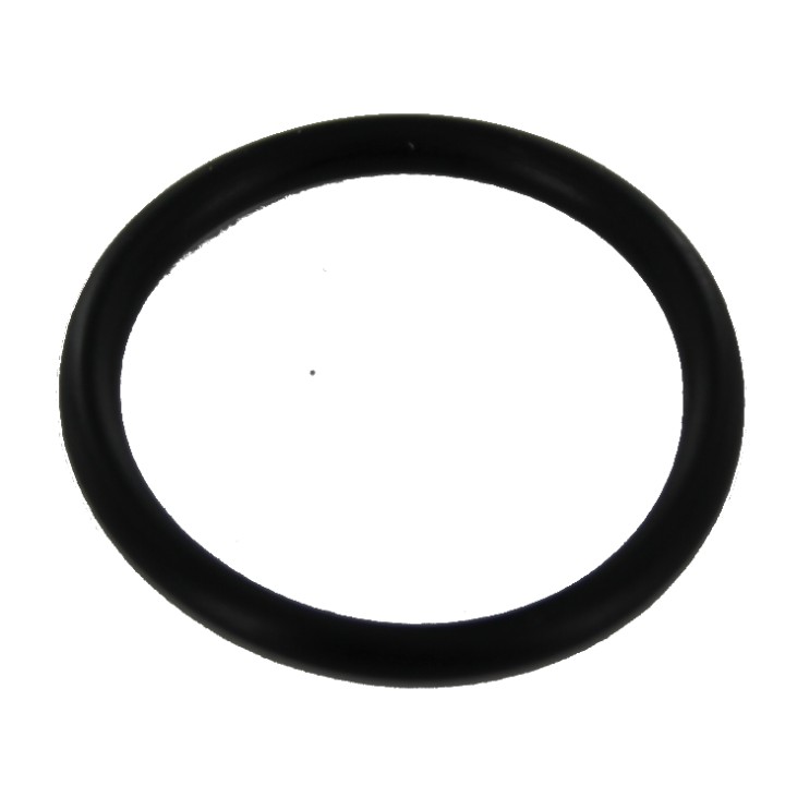 Action Army AAP-01 Ref 87 o’ring
