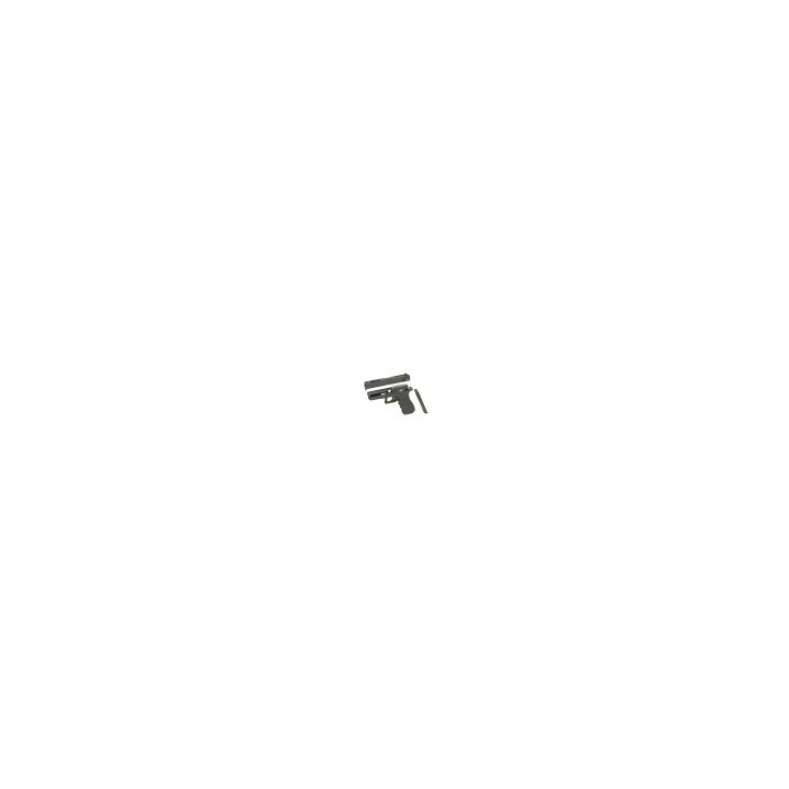 R18C electric pistol - CM.030S - MOSFET