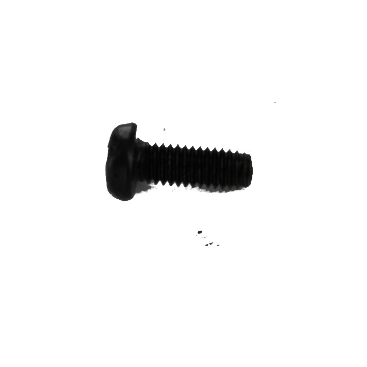 17398 ASG 10 Screw