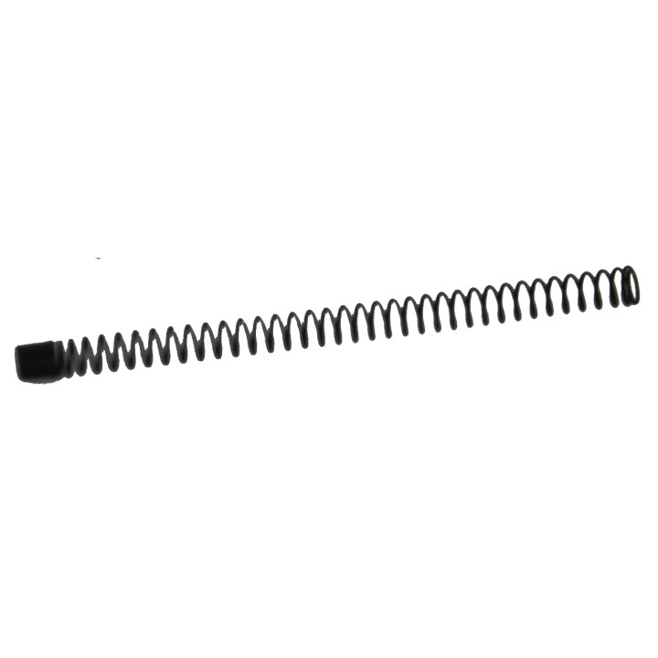 17398 ASG 13 Spring