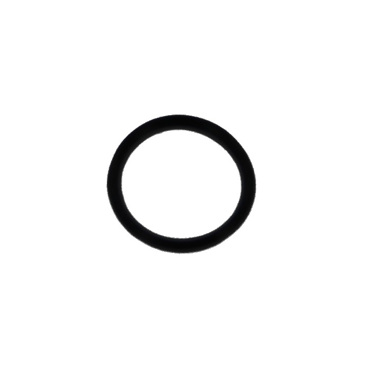 KWC Taurus 24/7 O-Ring 1X7