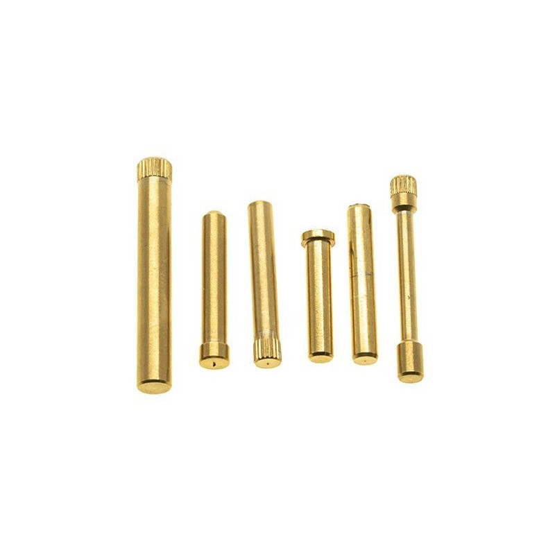 AAP01 S.S. Pin Set - Gold