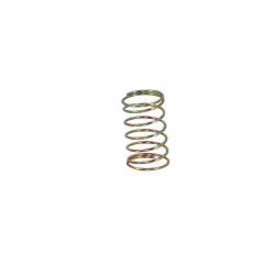 AAP01 Nozzle Valve Spring