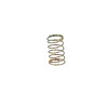 AAP01 Nozzle Valve Spring