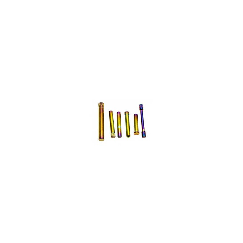 AAP-01 Stainless Steel Pin Set - ERB