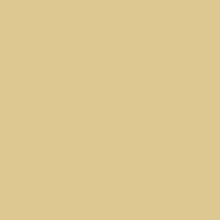 TROPENTARN SAND Spray Paint - Resistant All Surfaces