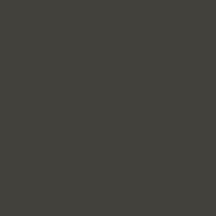 peinture militaire haute résistance vert-gris BW FELDGRAU
