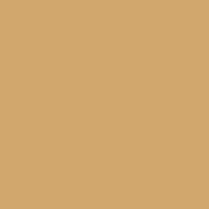 Military Spray Paint - Yellow Brown Beige 400ml