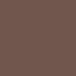 Synthetic Military Multi-Surface Spray Paint - MUD BROWN RAL 8027 MAT