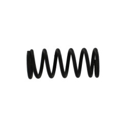 cup seal spring [SW1-46]