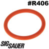 SP2022 280.302 Joint Orange