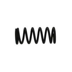 cup seal spring [SW1-46]