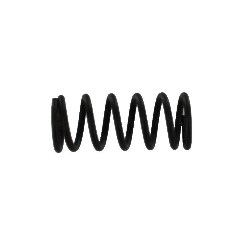 cup seal spring [SW1-46]
