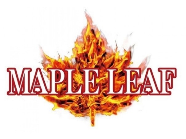 Joint hop-up Maple Leaf pour GBB et DMR airsoft