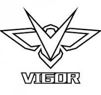 vigor